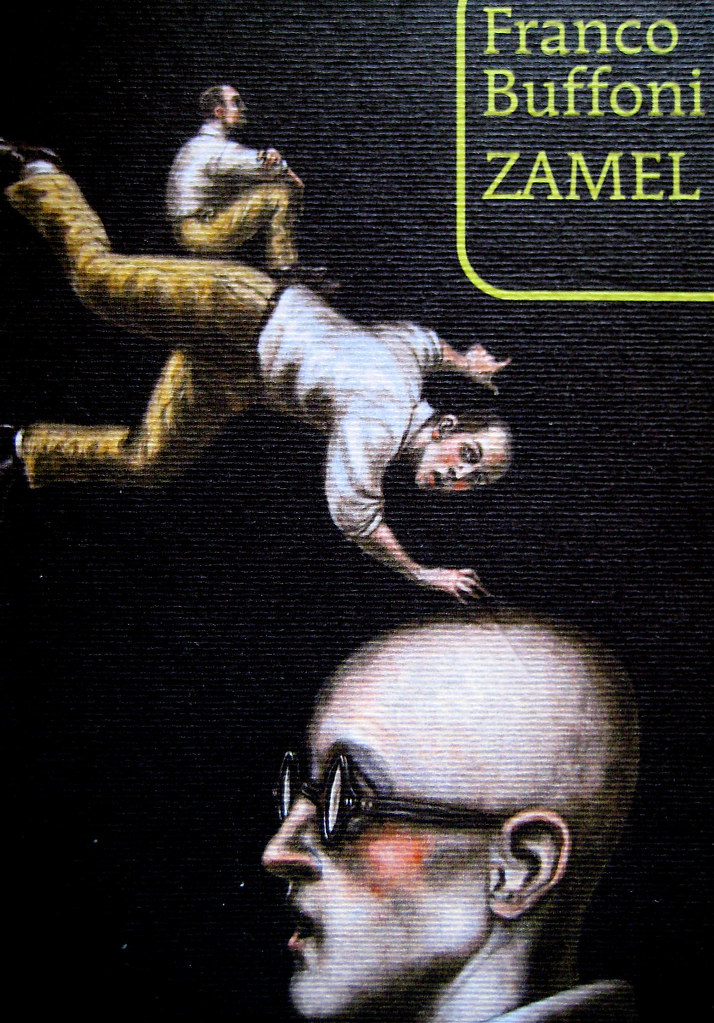 Franco Buffoni: intervista sul significato di Zamel