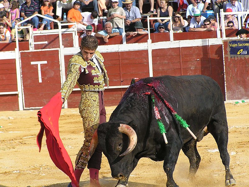 Ho paura torero, di Pedro Lemebel: significato